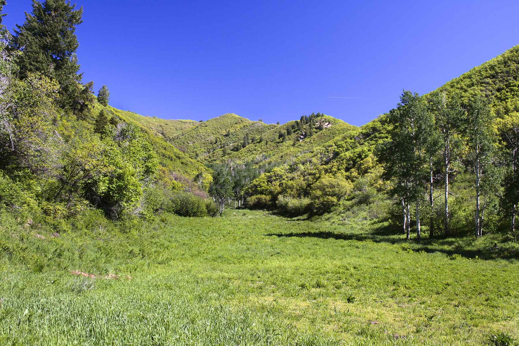 Turgoose Ranch property picture 21 of 22