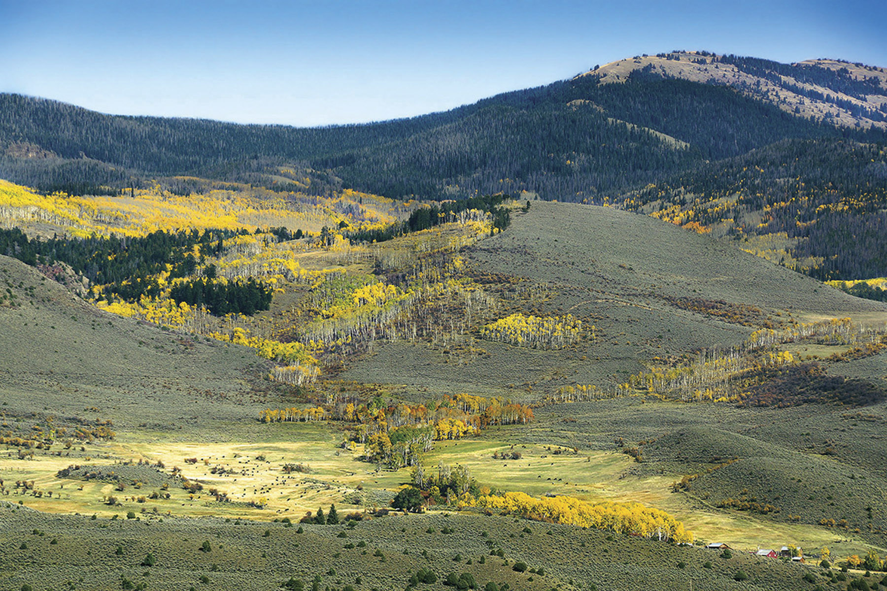 Olsen Piney Ranch property picture 12 of 73