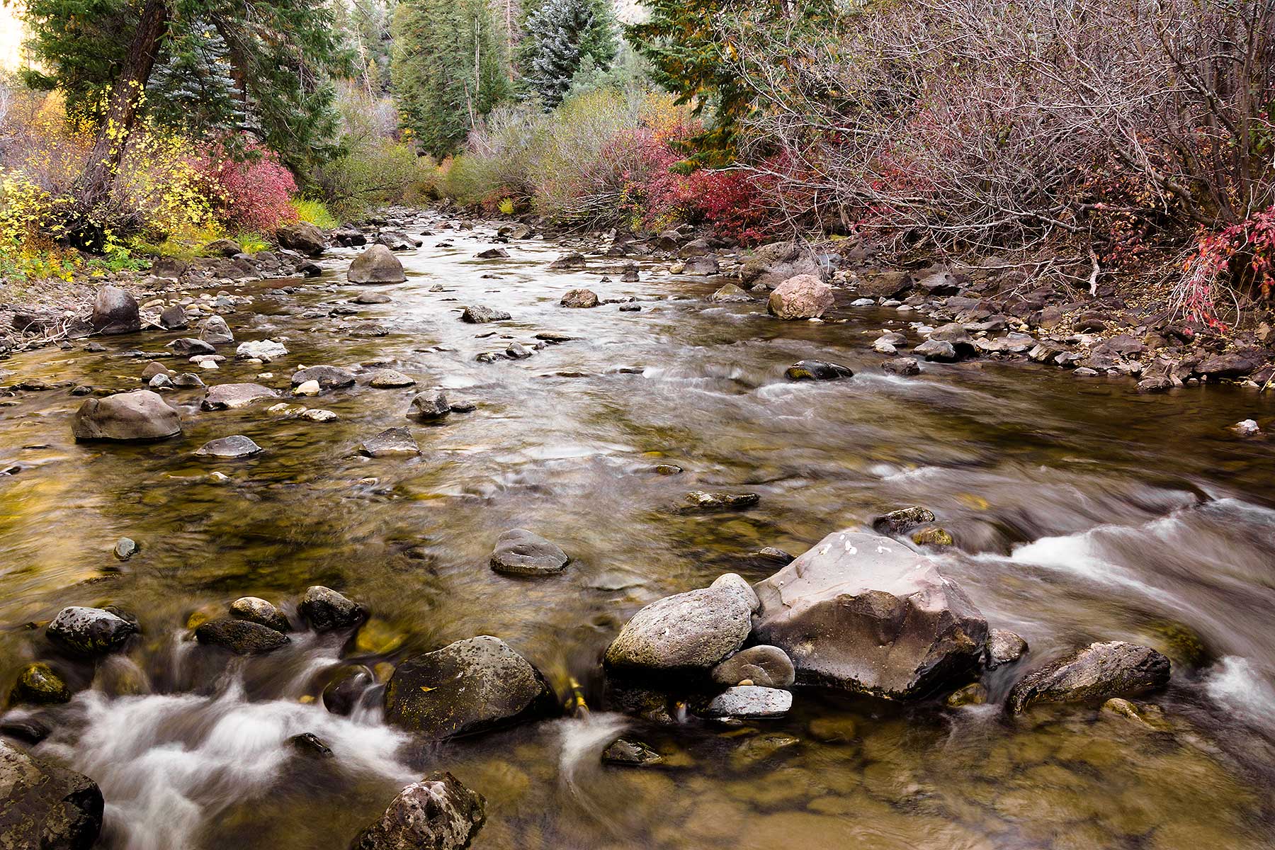 Olsen Piney Ranch property picture 7 of 73