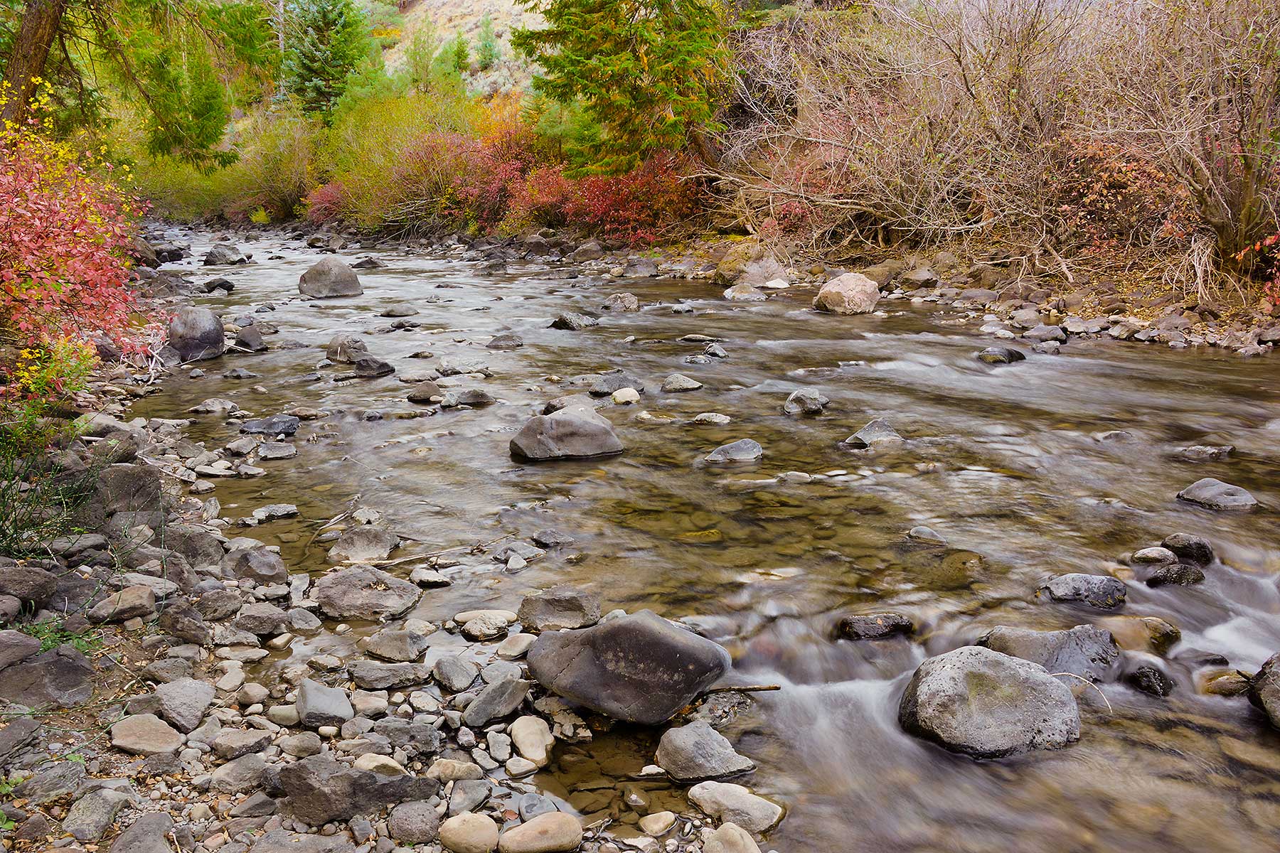 Olsen Piney Ranch property picture 39 of 73