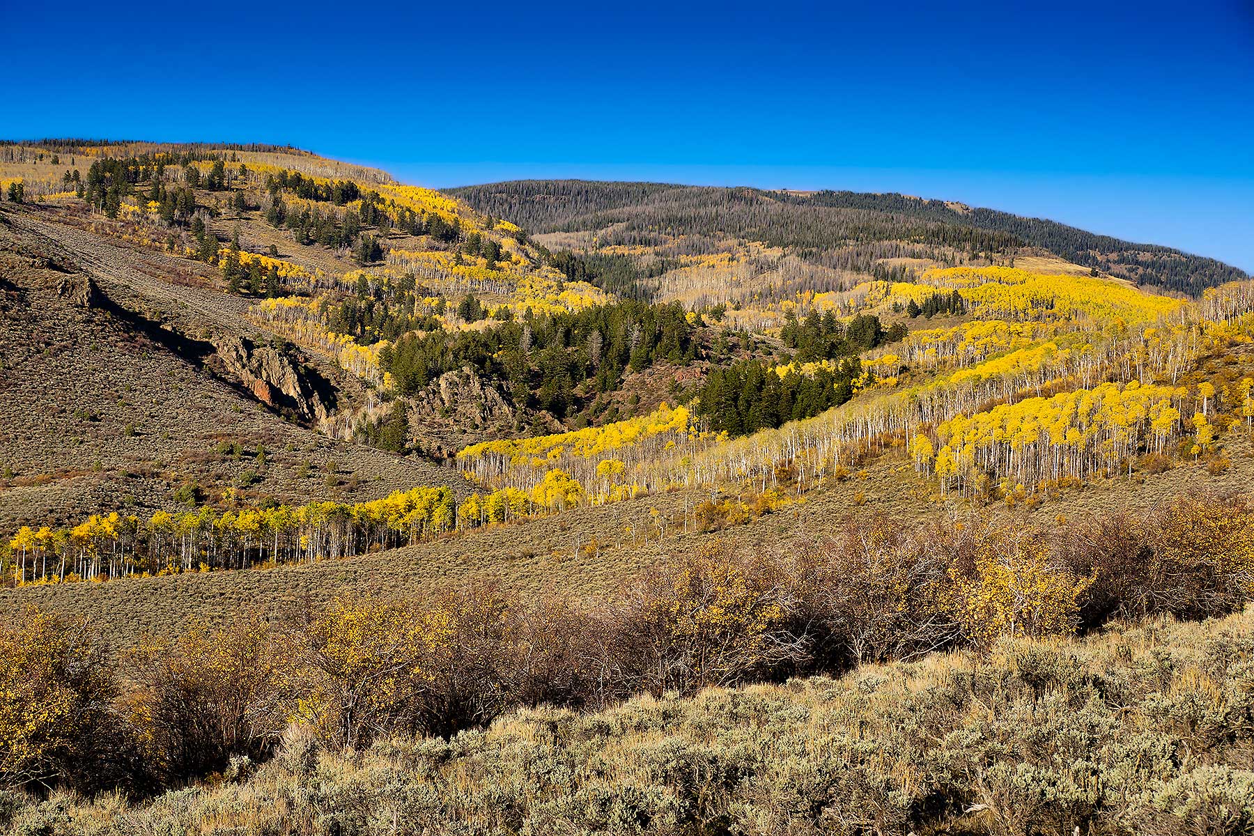 Olsen Piney Ranch property picture 9 of 73