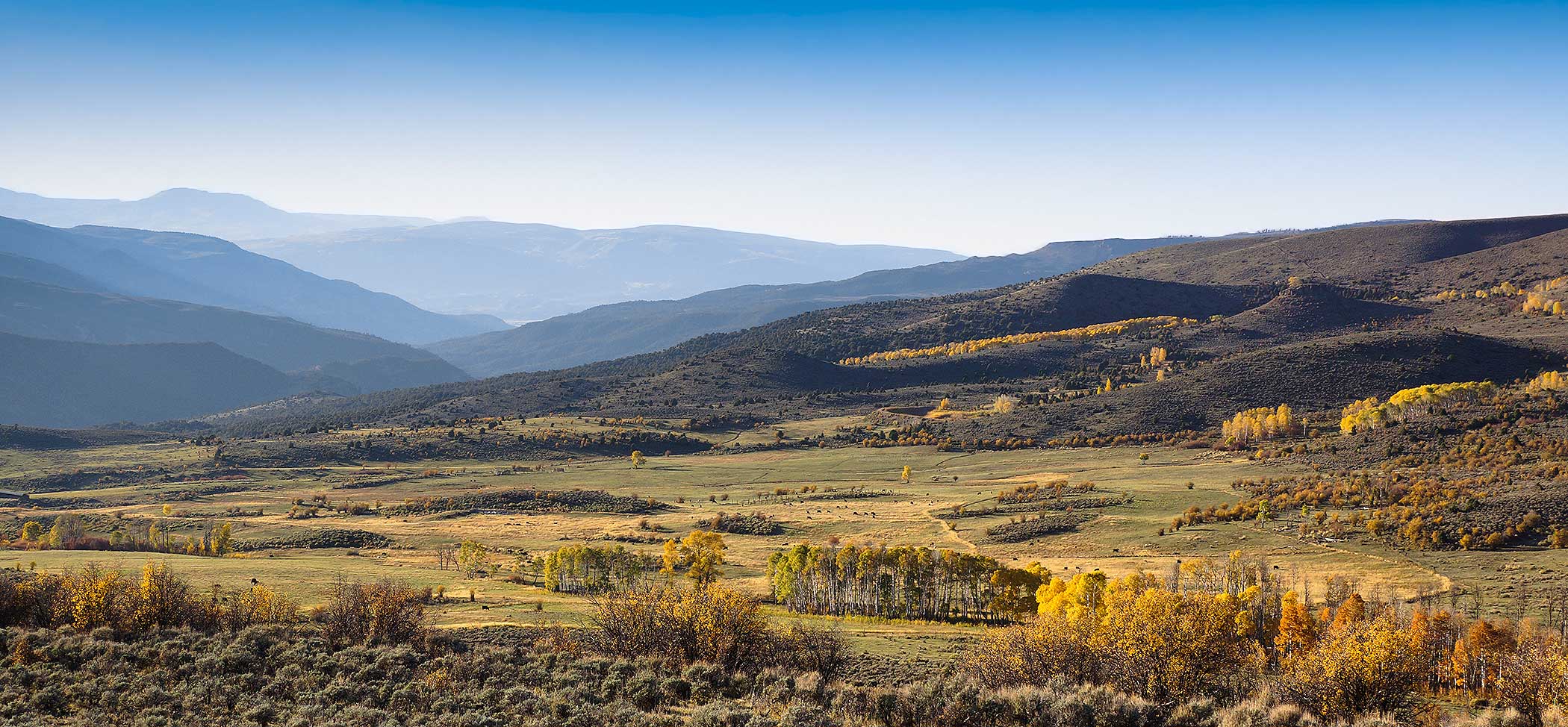 Olsen Piney Ranch property picture 6 of 73