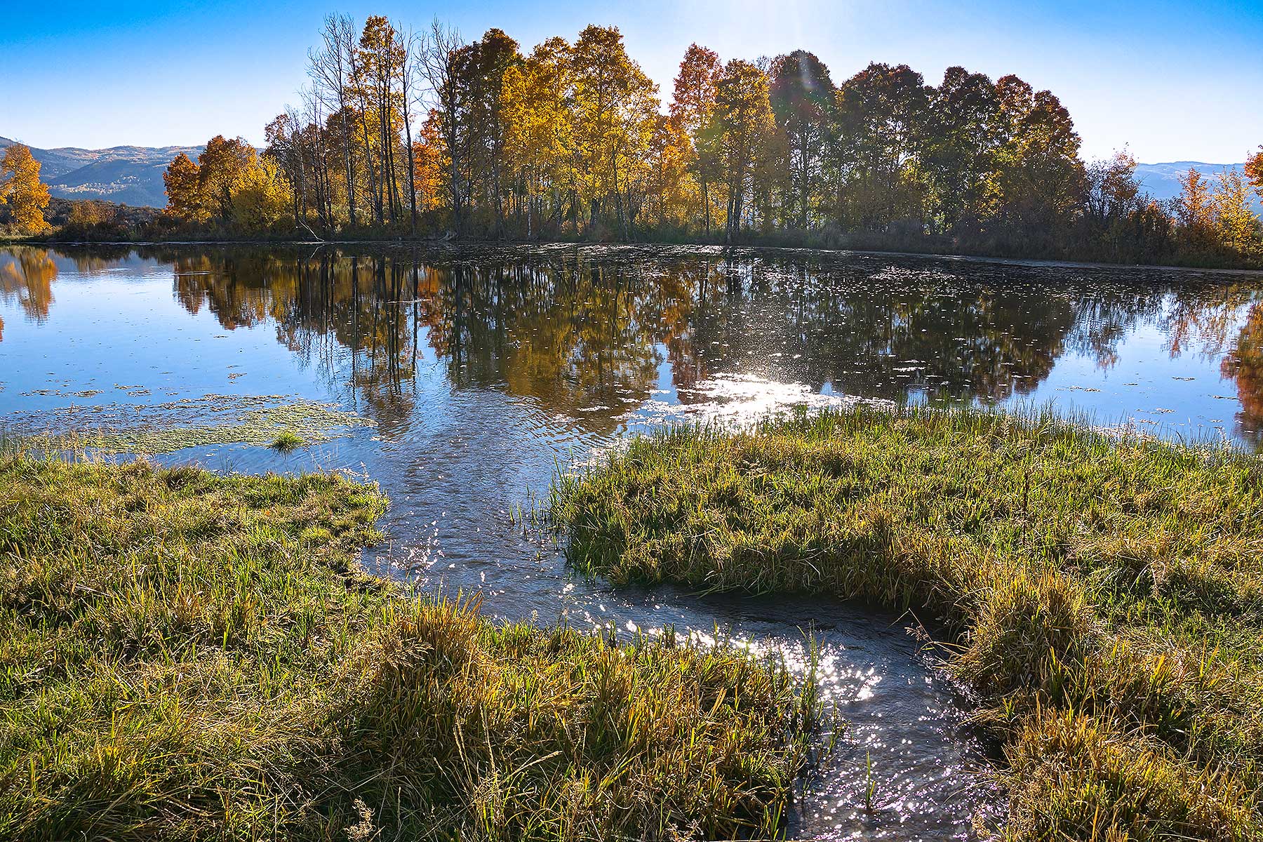 Olsen Piney Ranch property picture 24 of 73