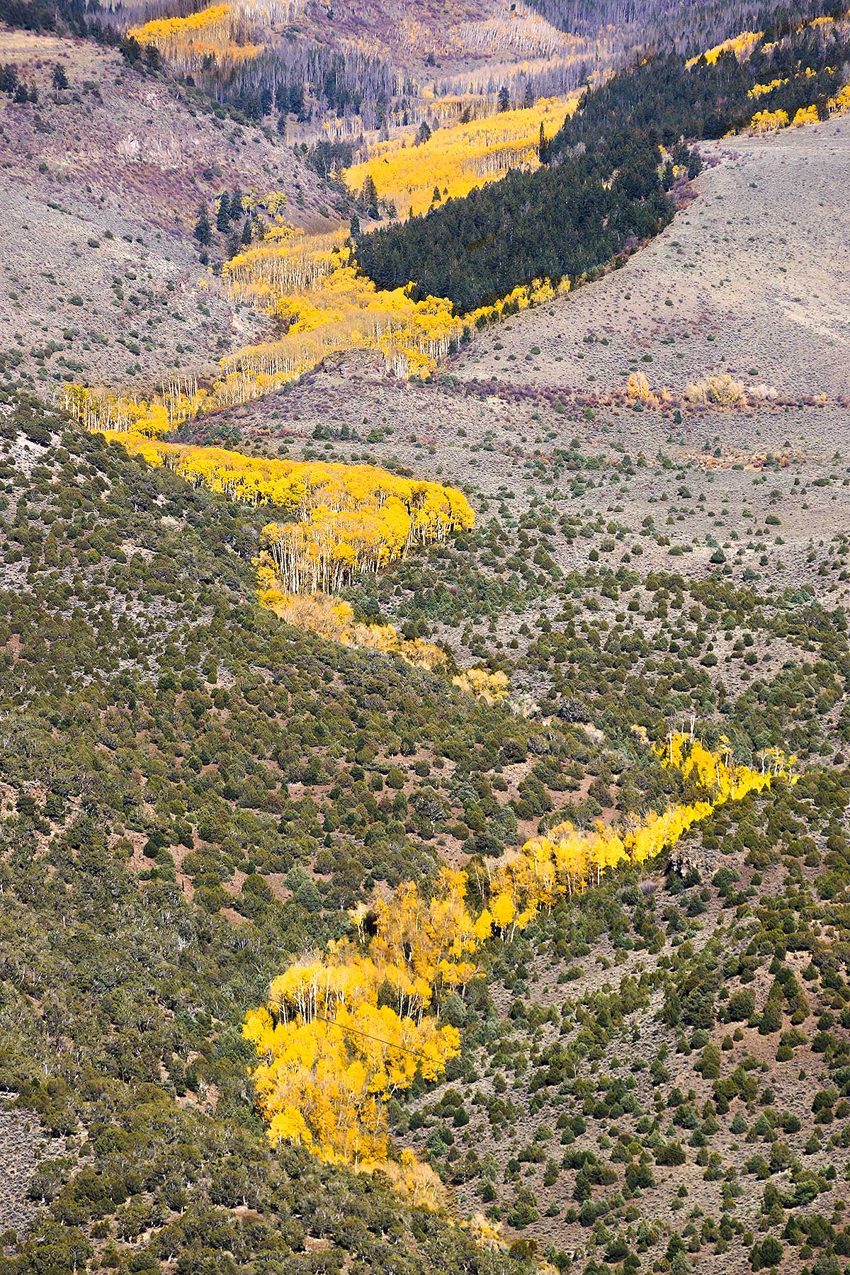 Olsen Piney Ranch property picture 22 of 73
