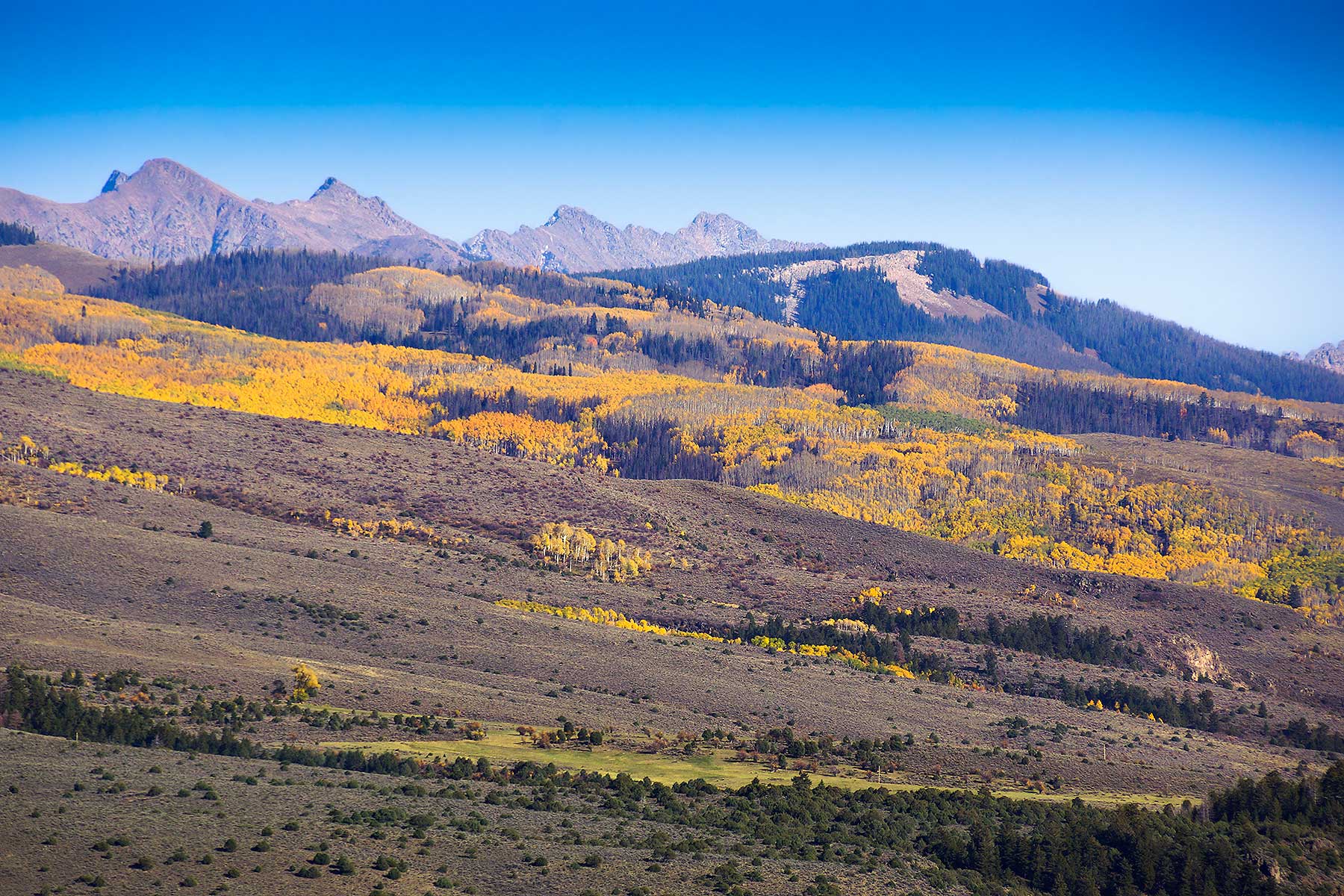 Olsen Piney Ranch property picture 8 of 73