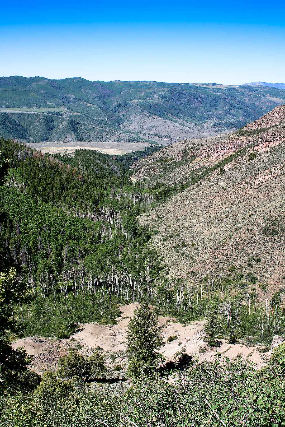 Olsen Piney Ranch property picture 28 of 73