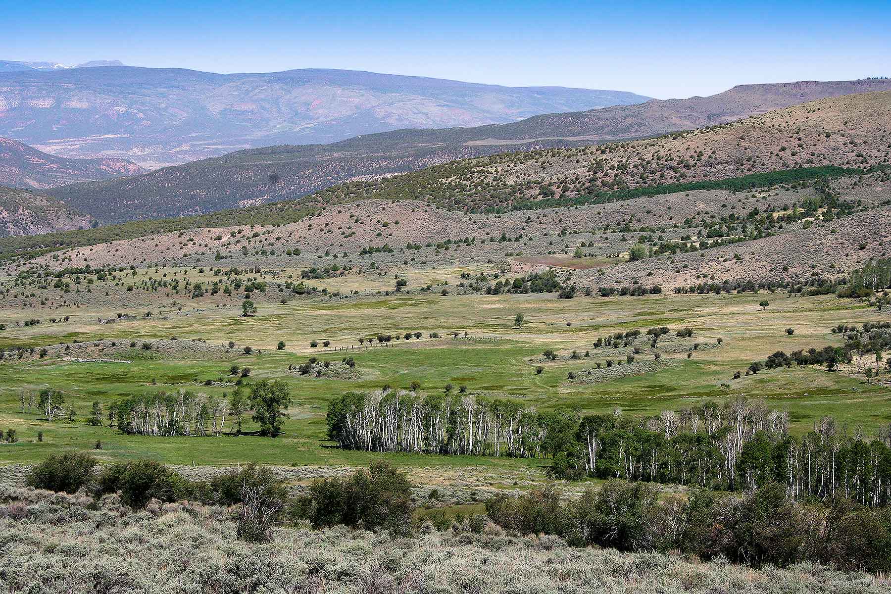 Olsen Piney Ranch property picture 31 of 73