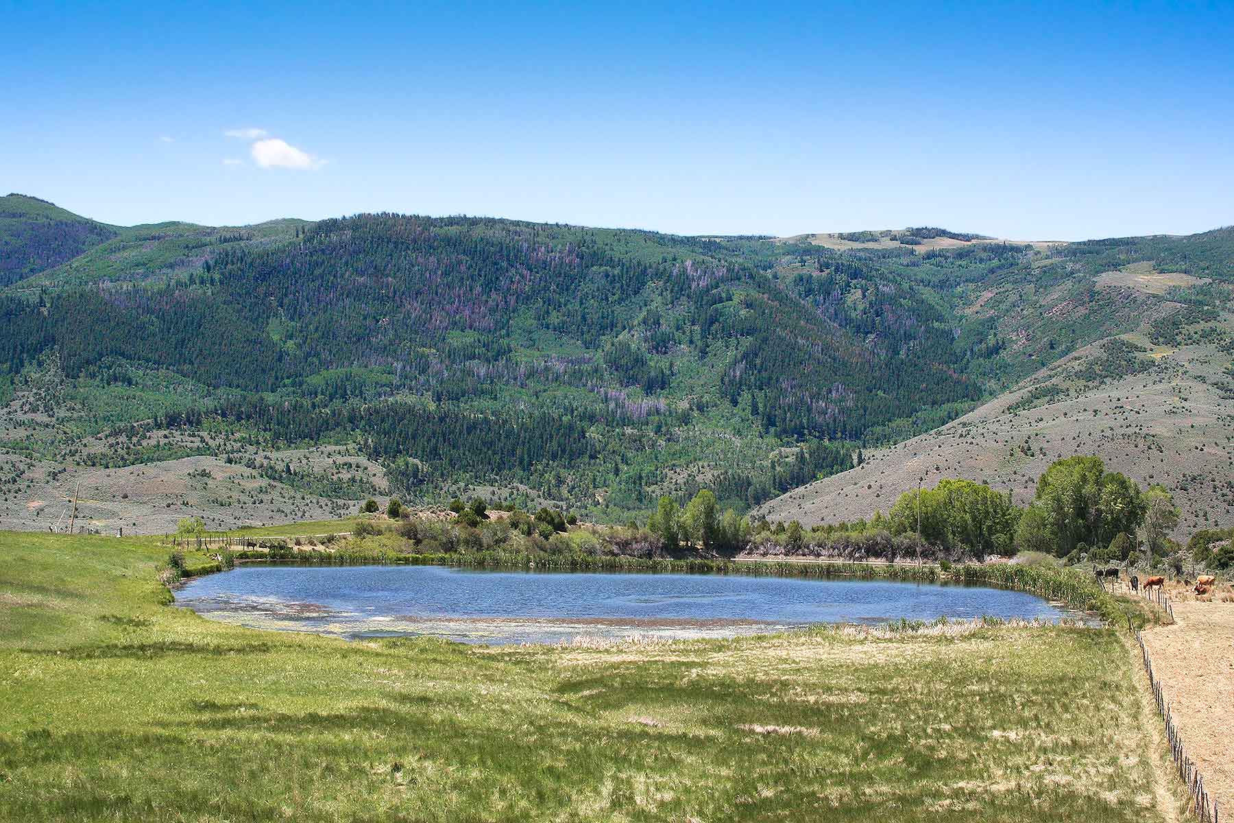 Olsen Piney Ranch property picture 43 of 73