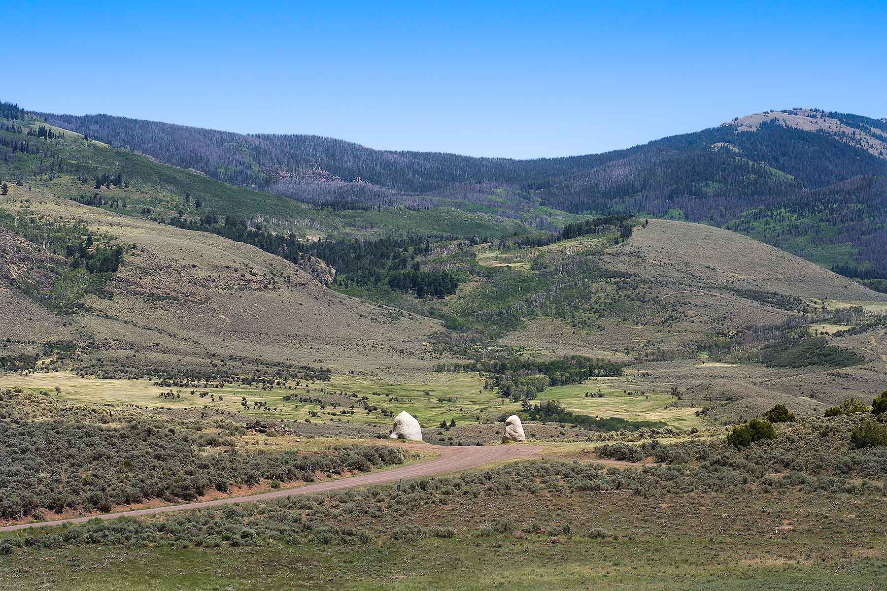 Olsen Piney Ranch property picture 70 of 73