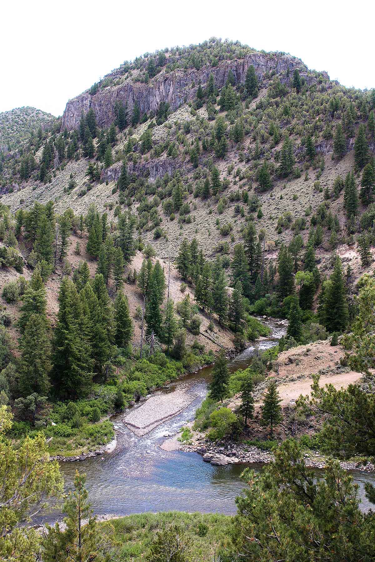 Olsen Piney Ranch property picture 42 of 73