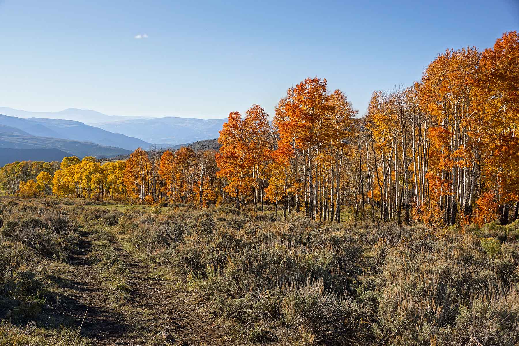 Olsen Piney Ranch property picture 36 of 73
