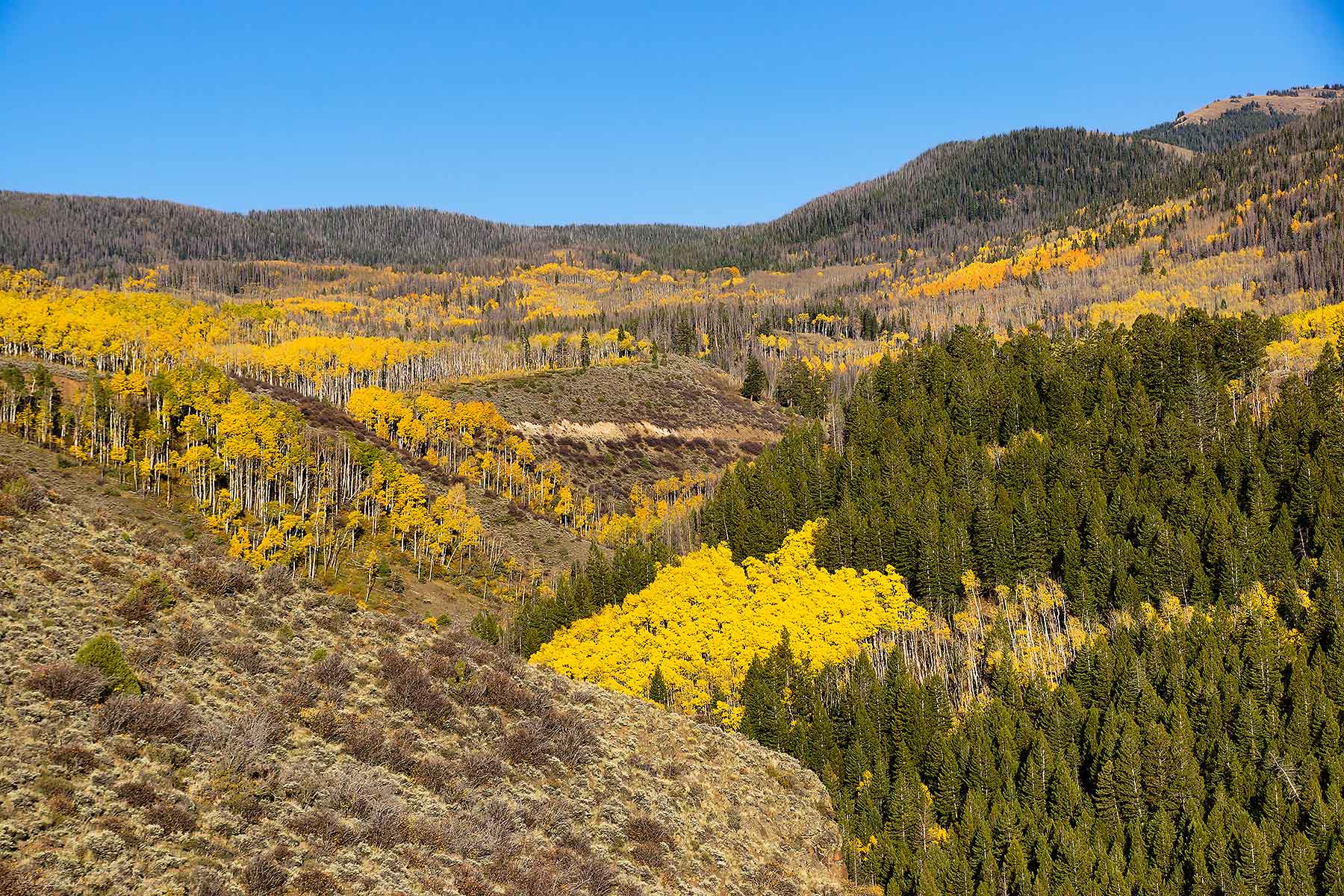 Olsen Piney Ranch property picture 41 of 73