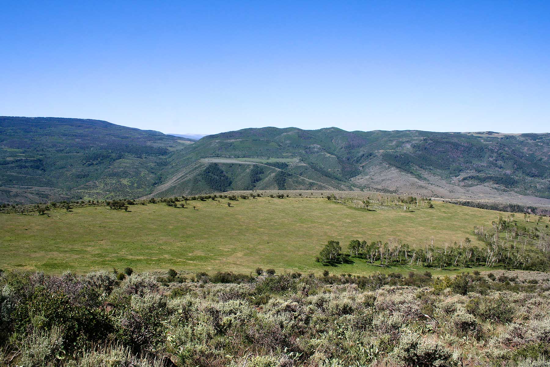 Olsen Piney Ranch property picture 40 of 73