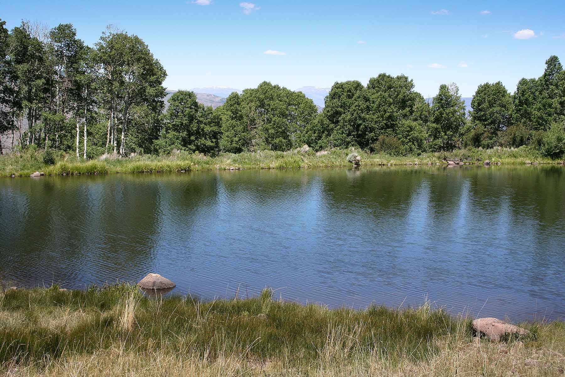 Olsen Piney Ranch property picture 29 of 73