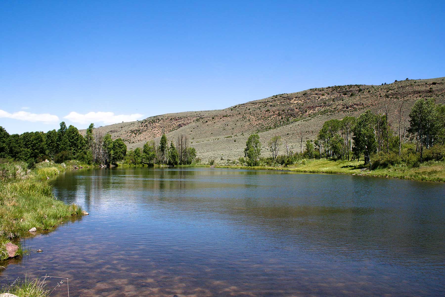 Olsen Piney Ranch property picture 48 of 73