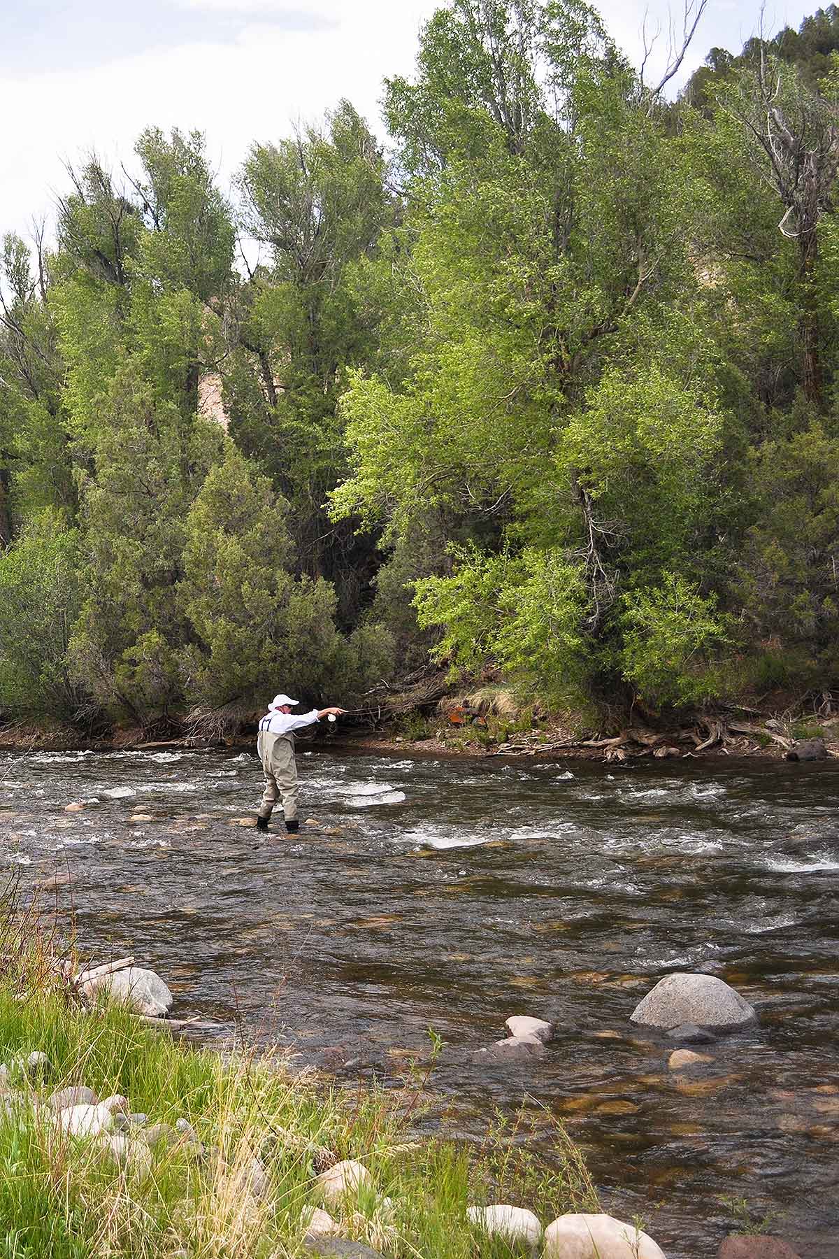Olsen Piney Ranch property picture 45 of 73