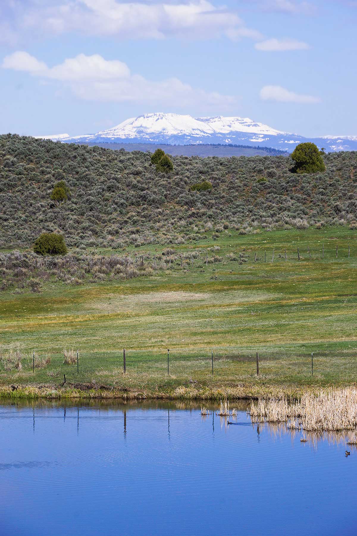 Olsen Piney Ranch property picture 50 of 73
