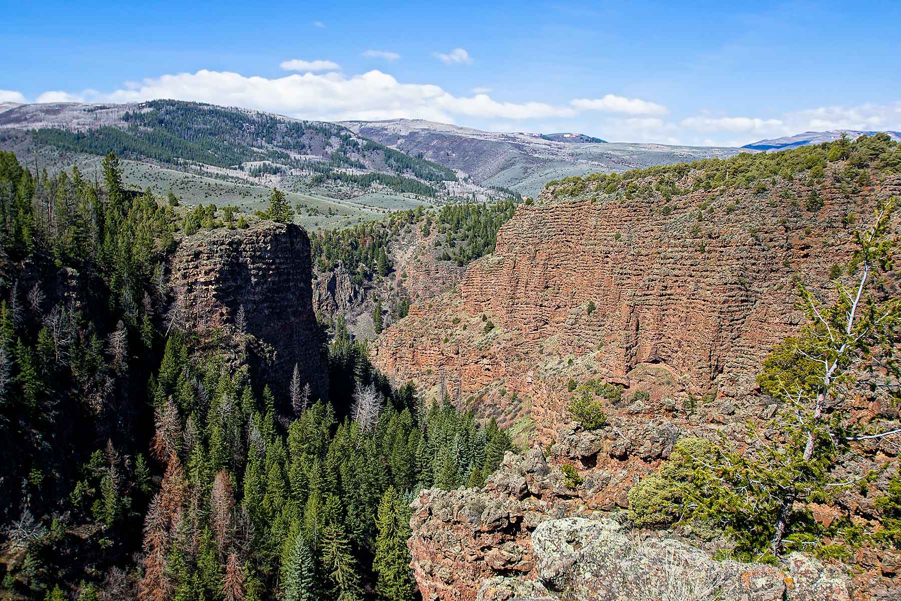 Olsen Piney Ranch property picture 49 of 73