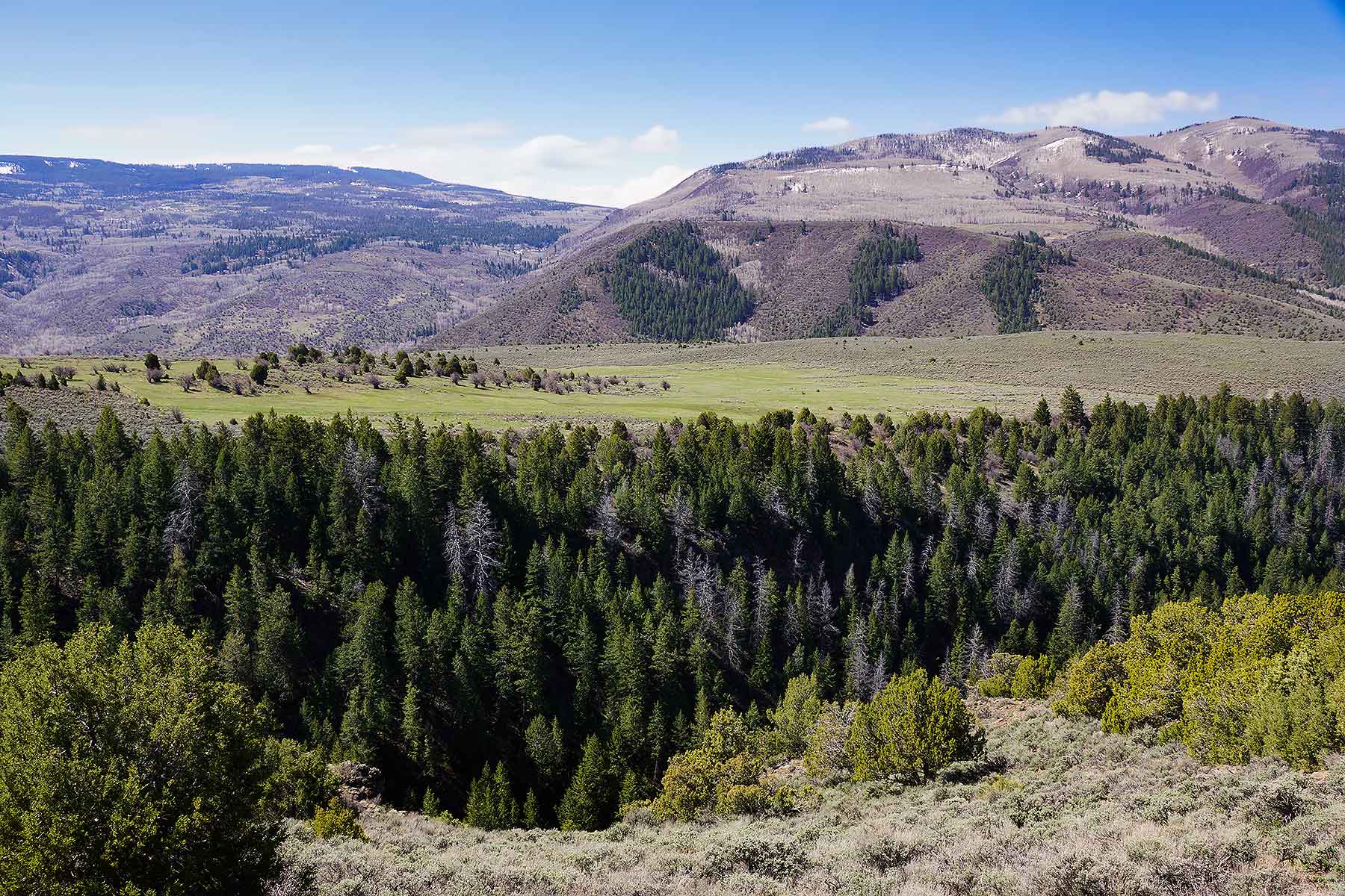 Olsen Piney Ranch property picture 51 of 73