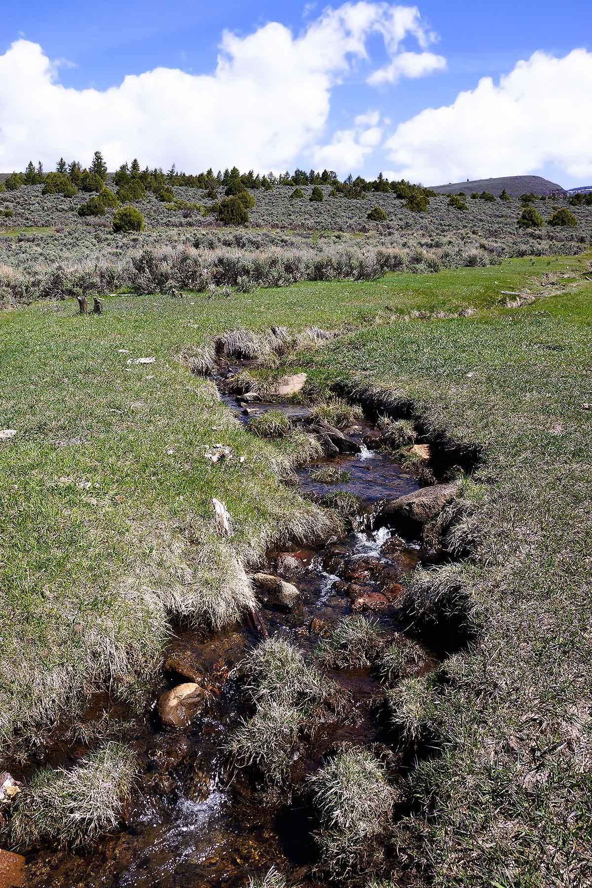 Olsen Piney Ranch property picture 52 of 73