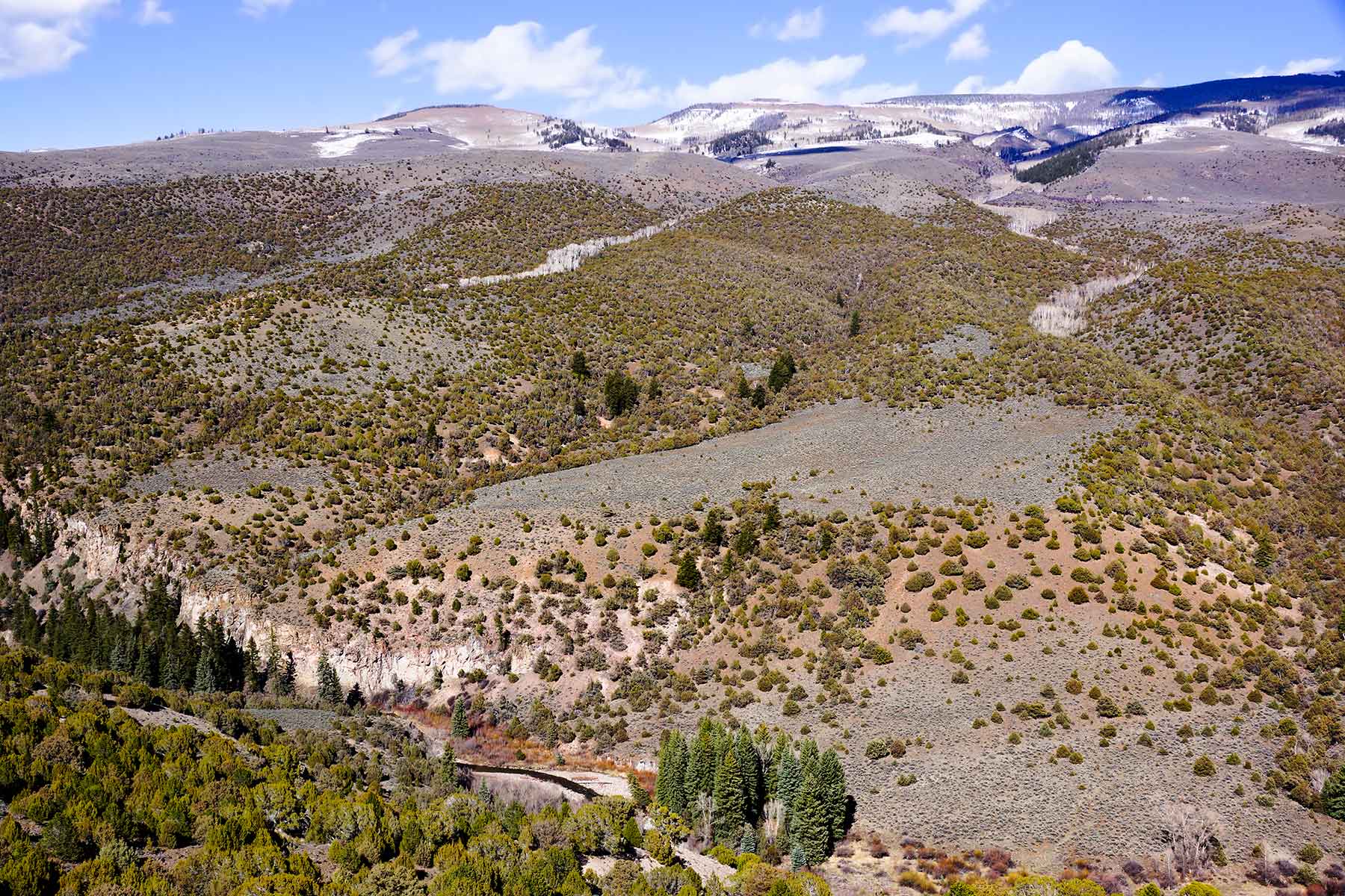 Olsen Piney Ranch property picture 17 of 73