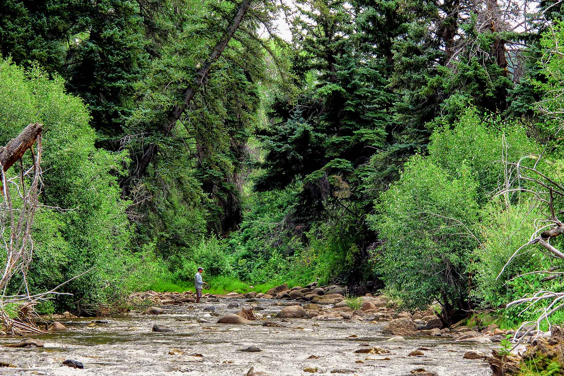 Olsen Piney Ranch property picture 65 of 73