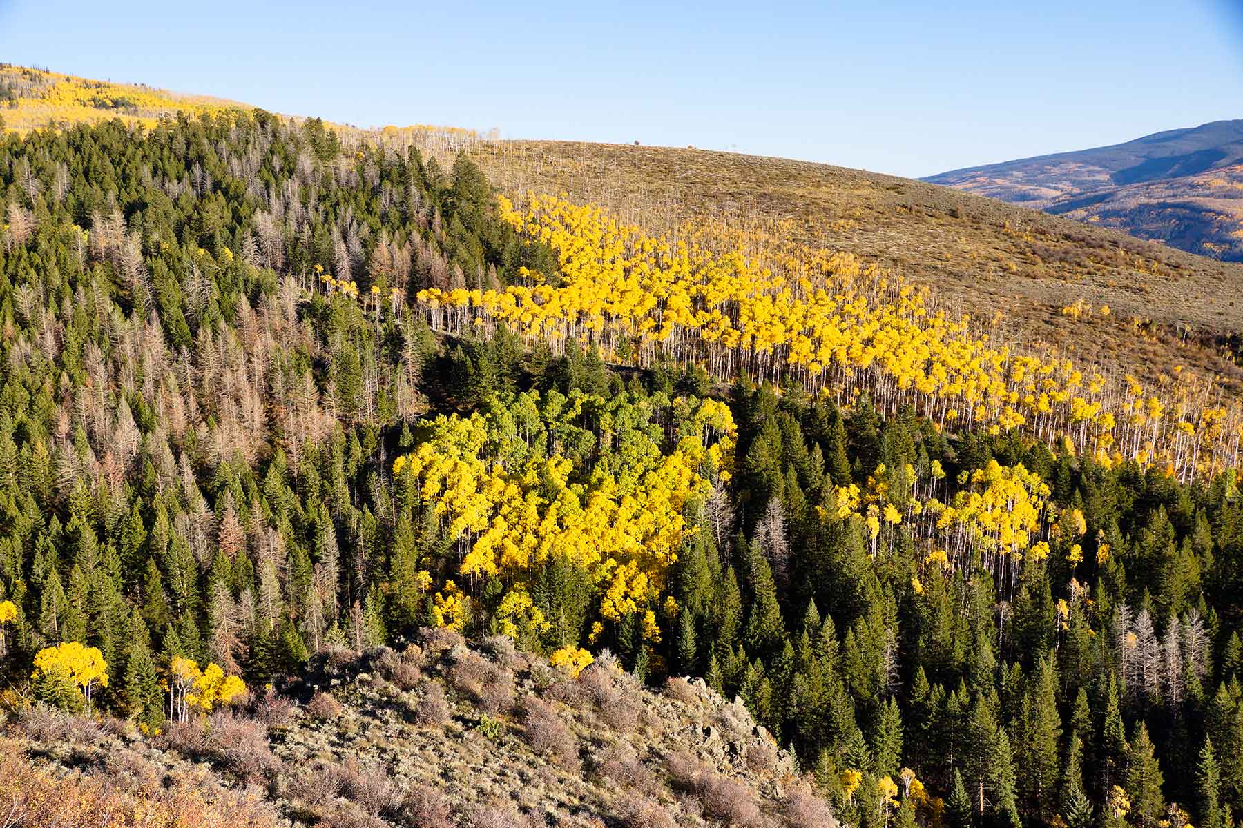 Olsen Piney Ranch property picture 66 of 73