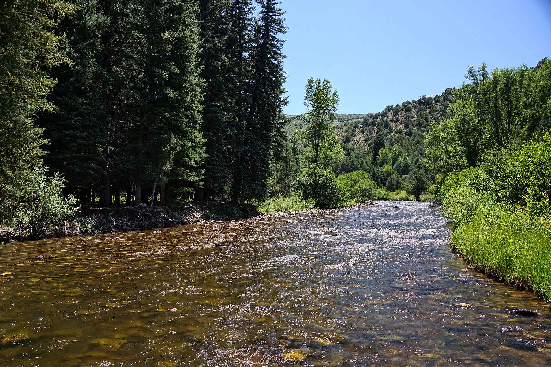 Olsen Piney Ranch property picture 2 of 73