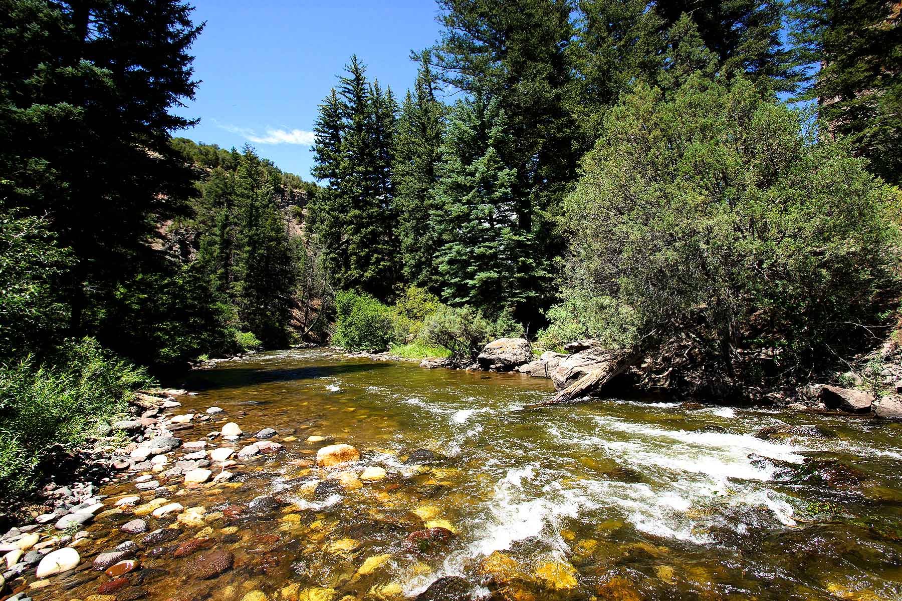 Olsen Piney Ranch property picture 53 of 73