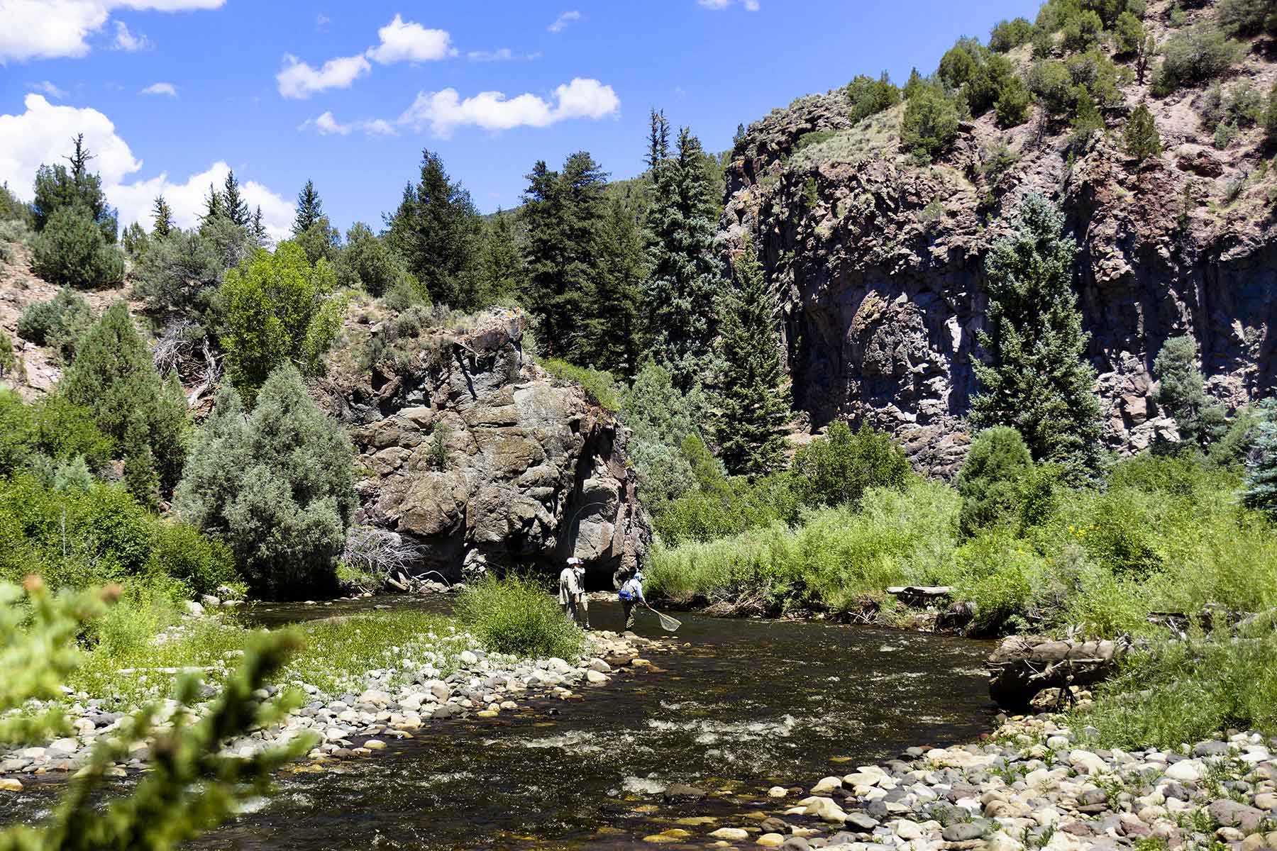 Olsen Piney Ranch property picture 19 of 73