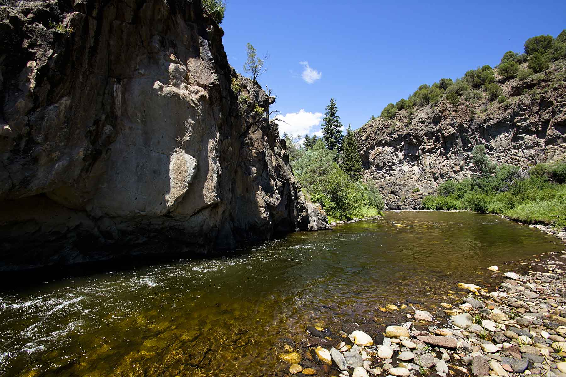 Olsen Piney Ranch property picture 10 of 73