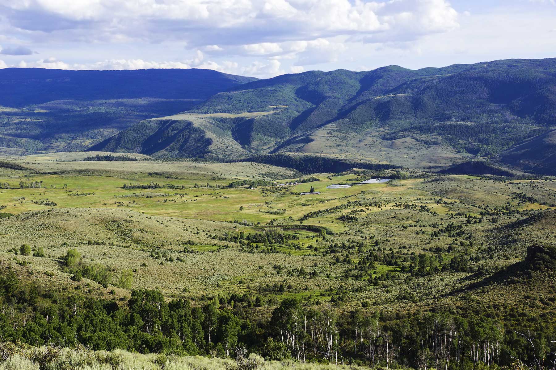 Olsen Piney Ranch property picture 5 of 73