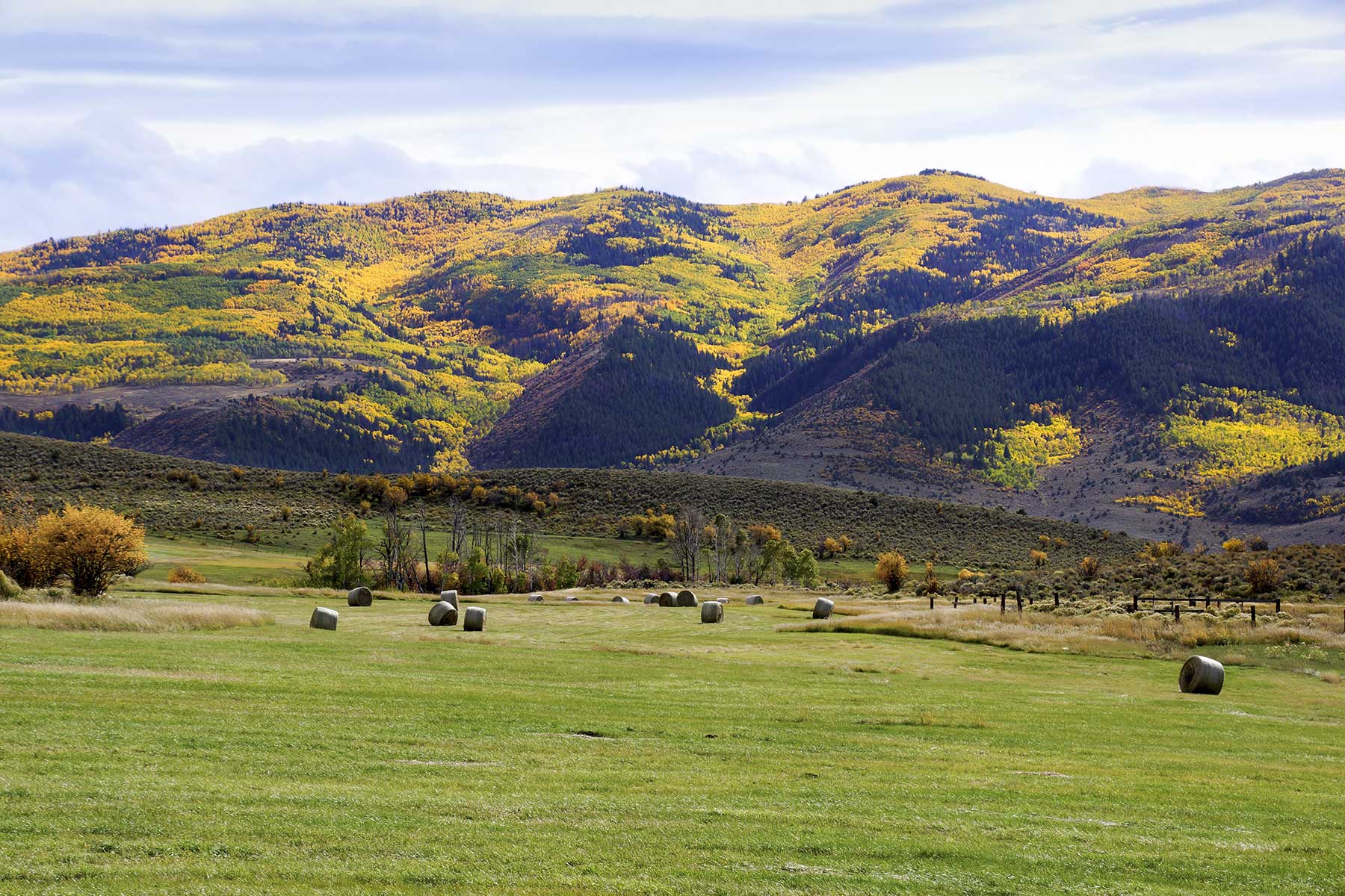 Olsen Piney Ranch property picture 71 of 73