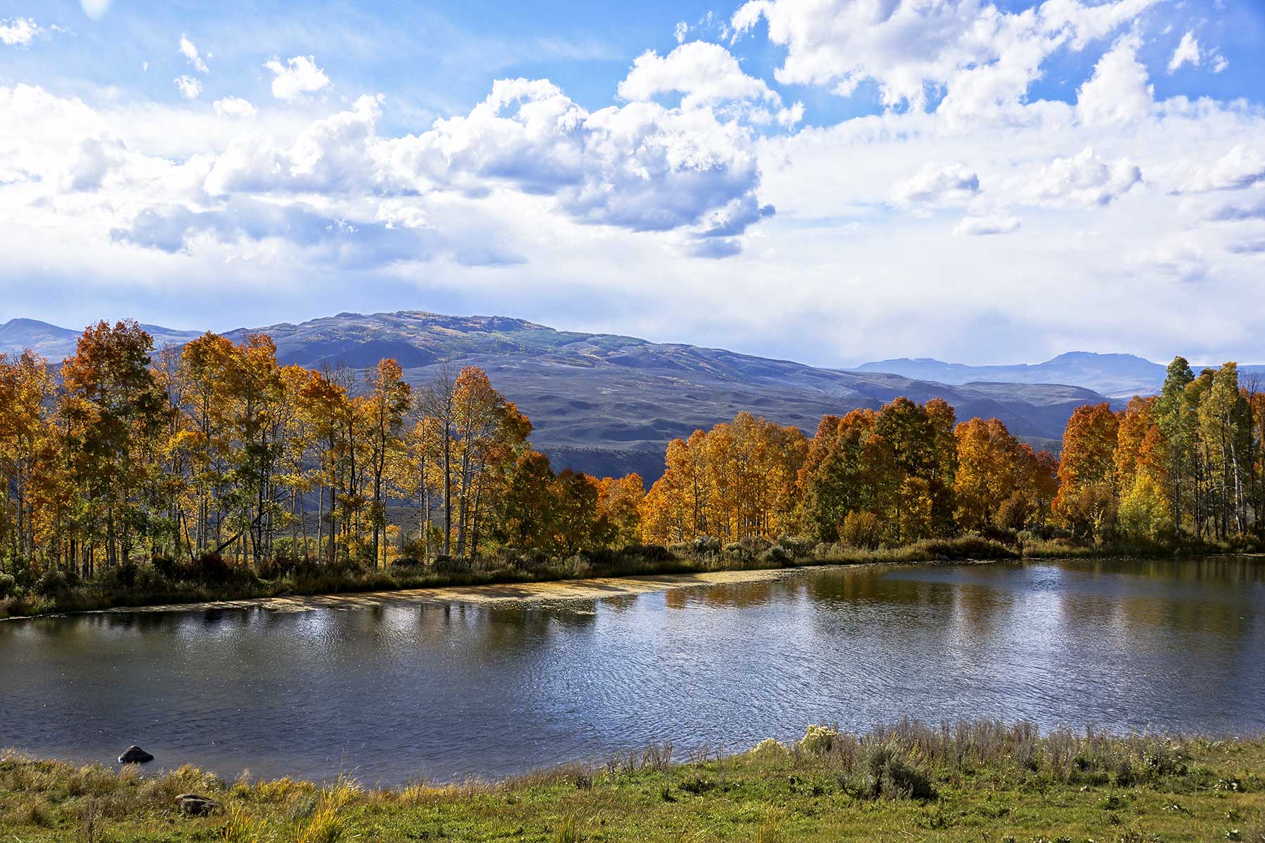 Olsen Piney Ranch property picture 14 of 73