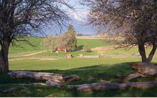 Byram Bitterroot Ranch property picture 3 of 4
