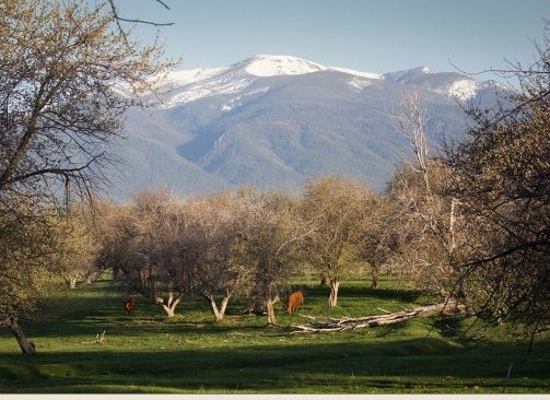 Byram Bitterroot Ranch property picture 2 of 4