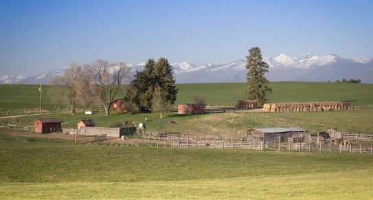 Byram Bitterroot Ranch property picture 1 of 4