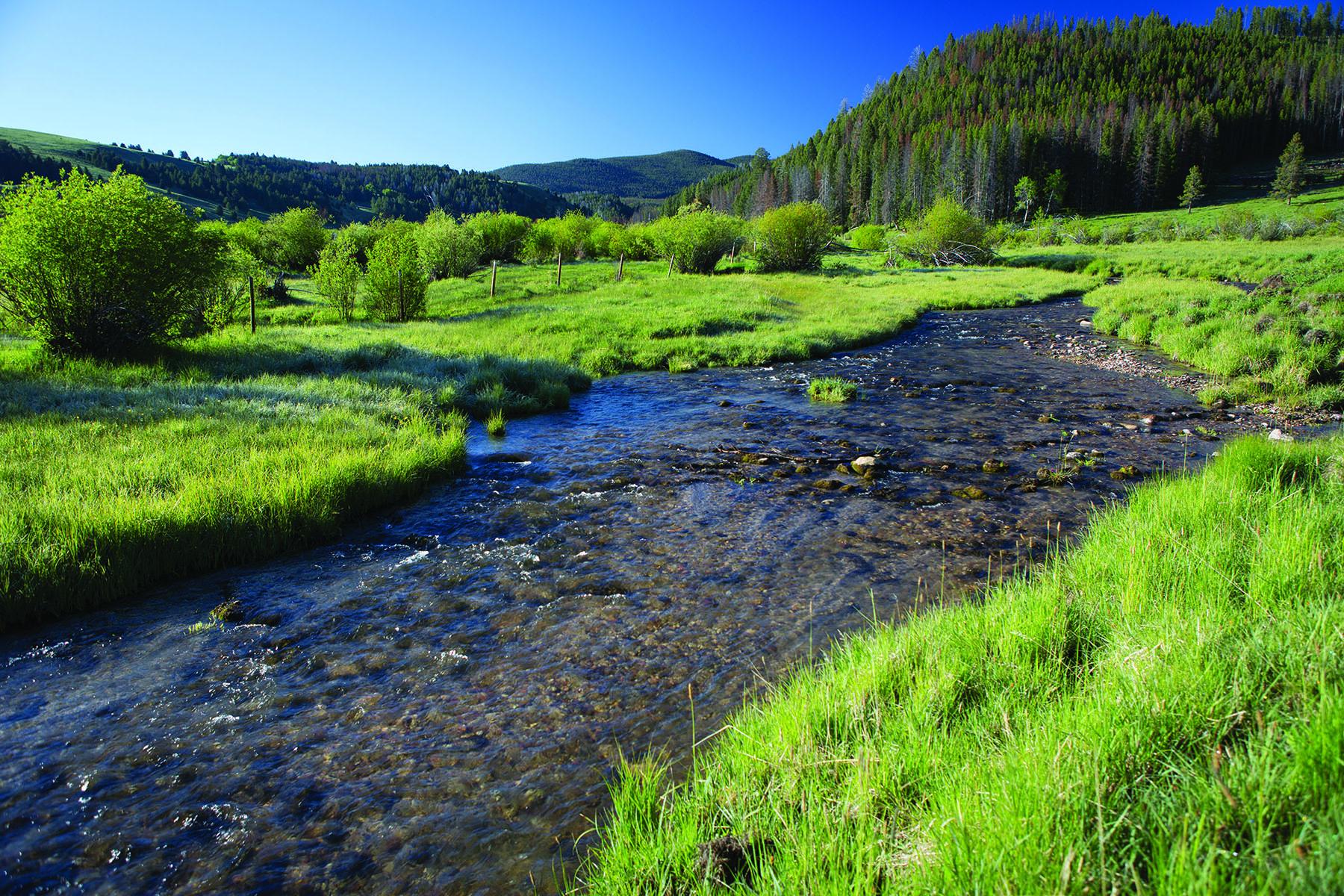 East Fork Rock Creek Ranch Sold Montana Hall and Hall