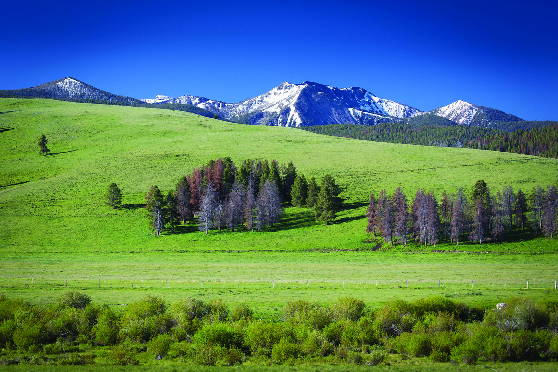 East Fork Rock Creek Ranch property picture 6 of 12