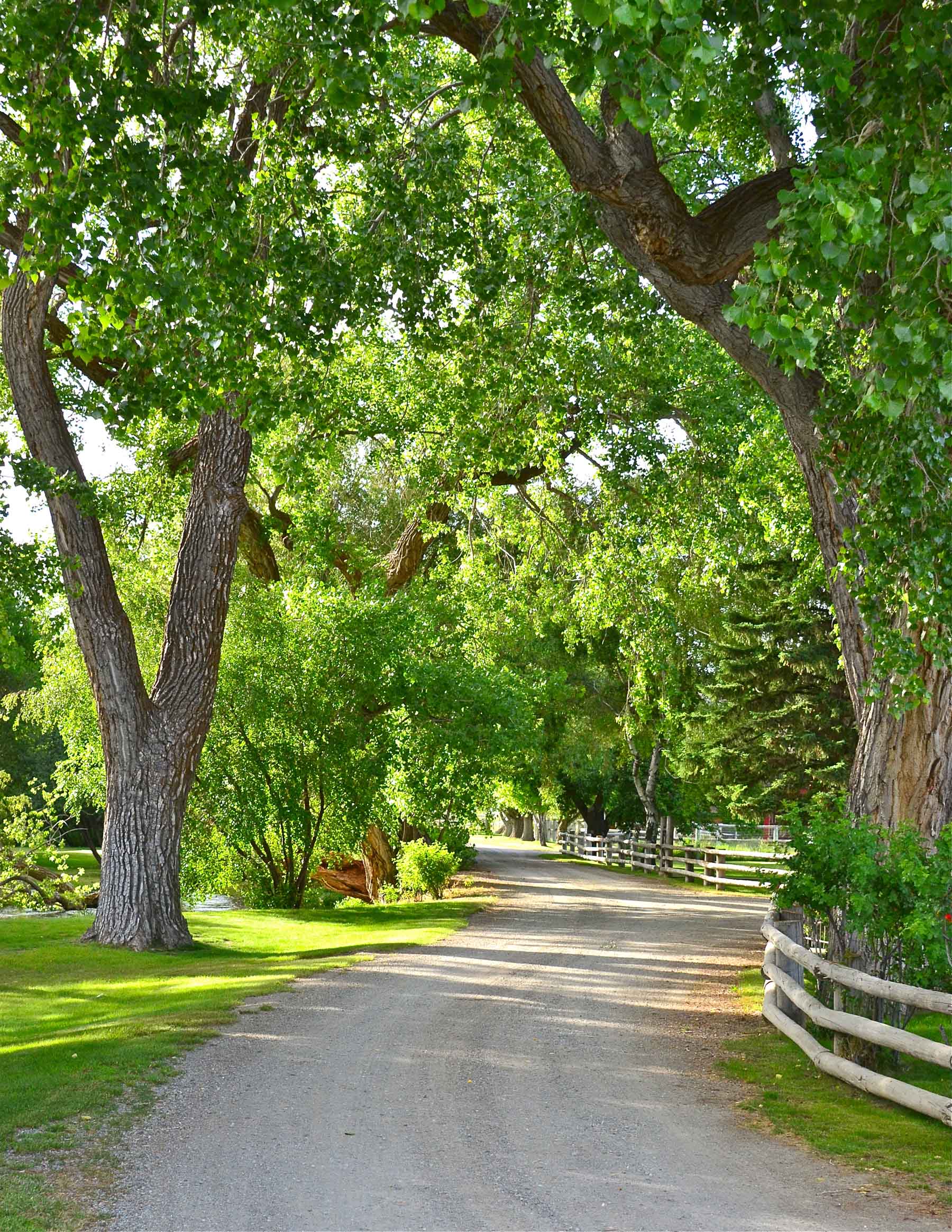 Susie Q Ranch property picture 4 of 83
