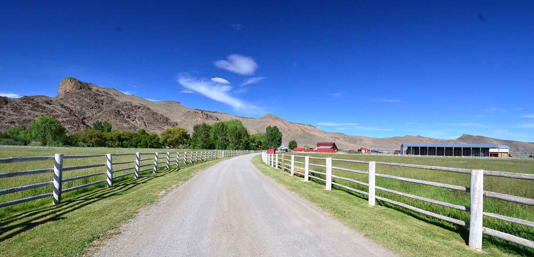 Susie Q Ranch property picture 5 of 83