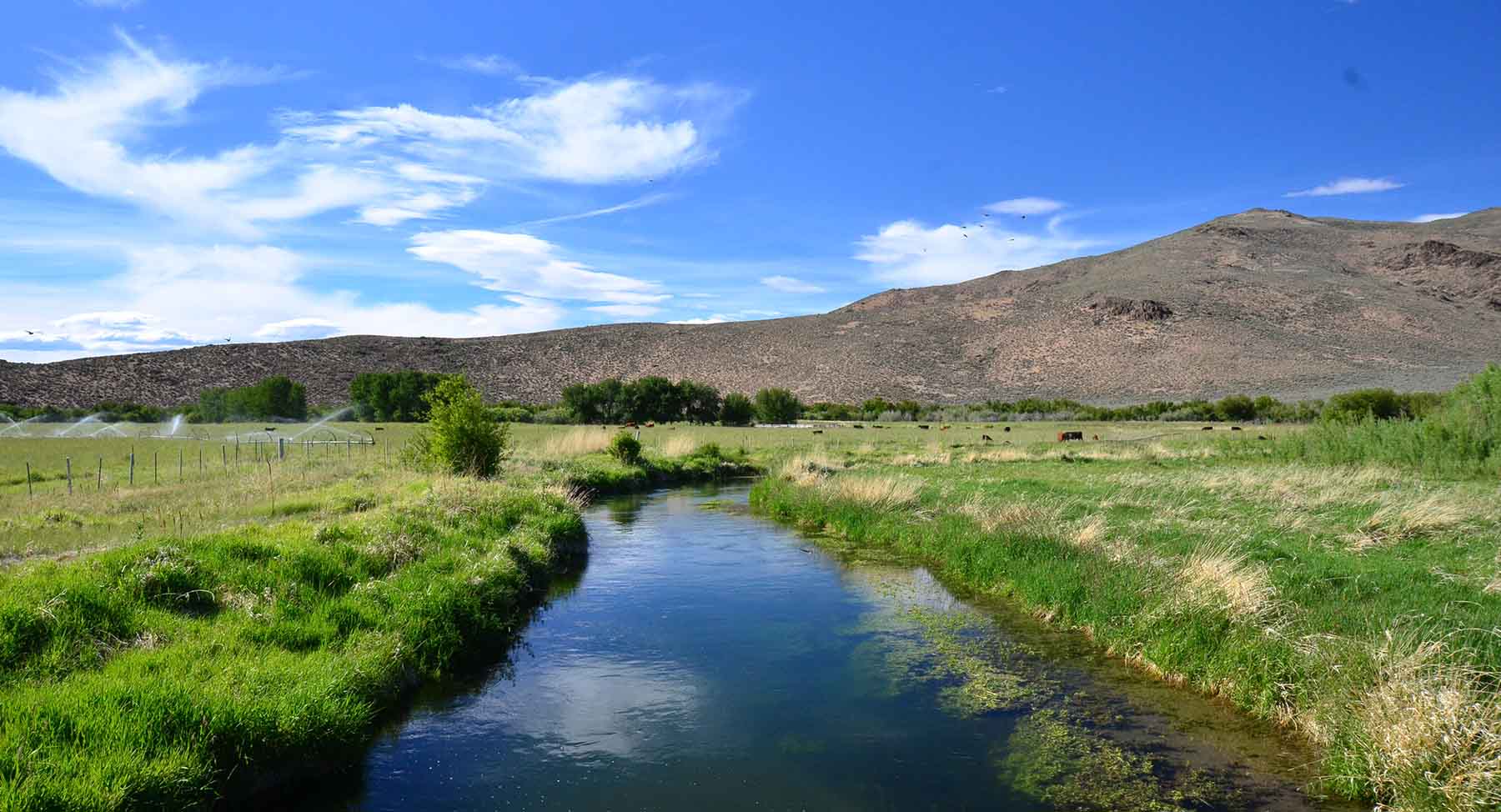 Susie Q Ranch property picture 8 of 83