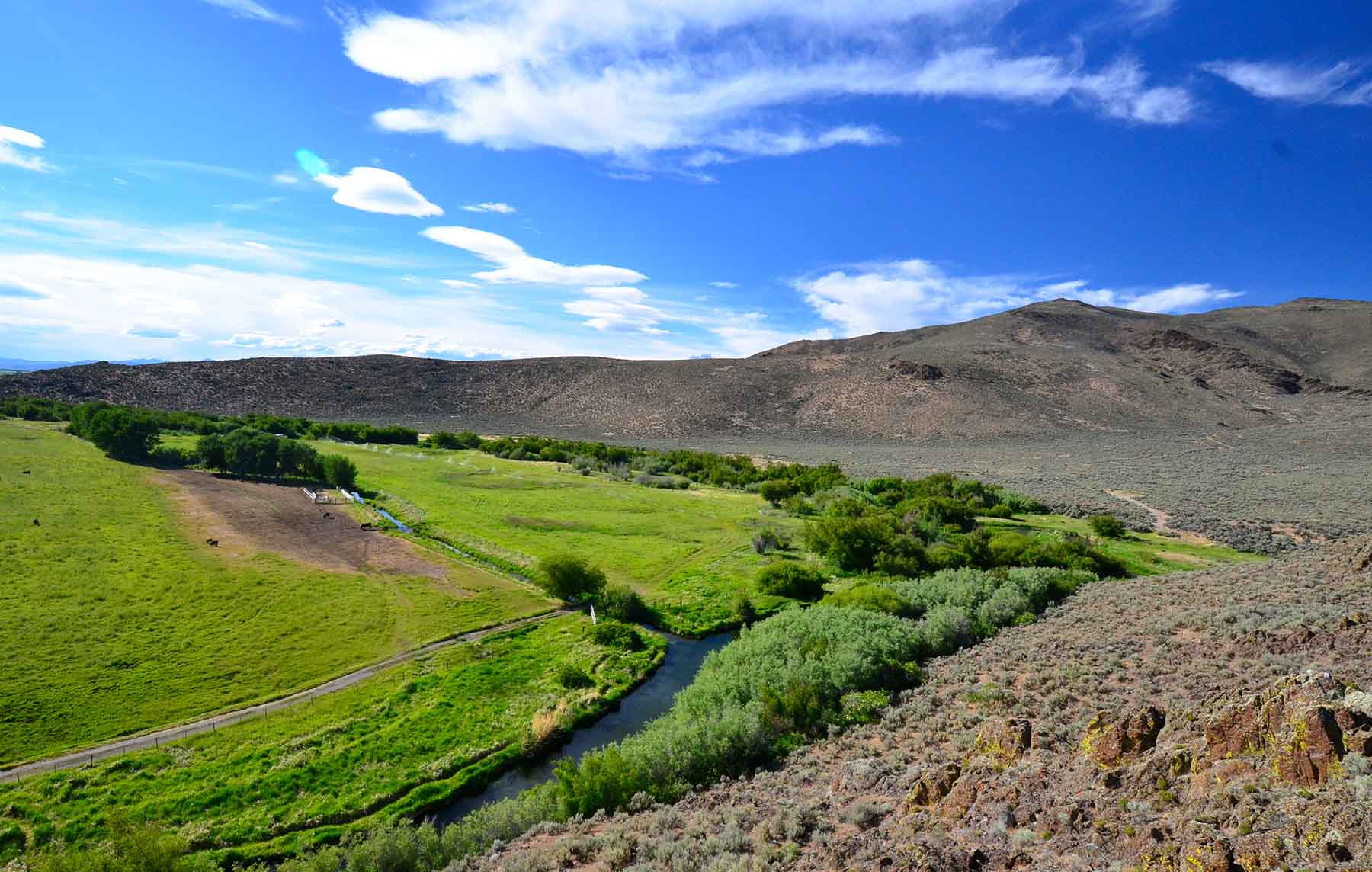 Susie Q Ranch property picture 11 of 83
