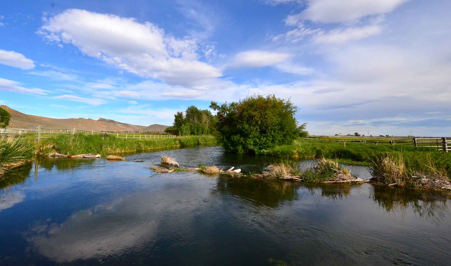 Susie Q Ranch property picture 12 of 83