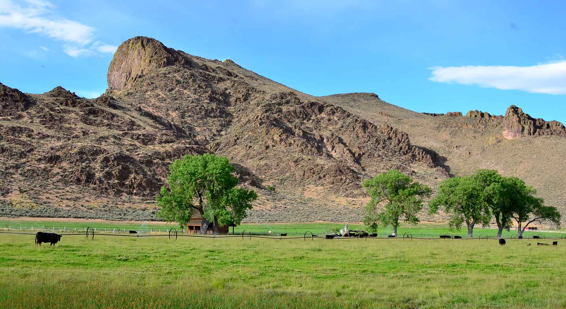 Susie Q Ranch property picture 13 of 83