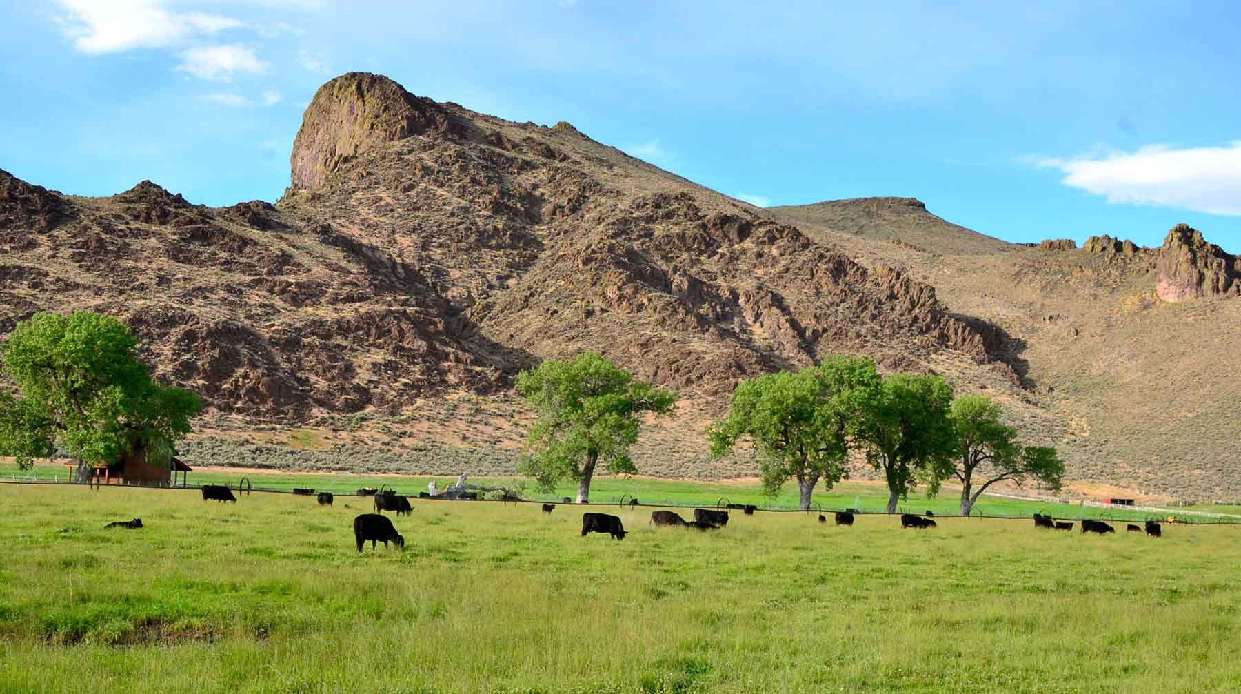 Susie Q Ranch property picture 14 of 83