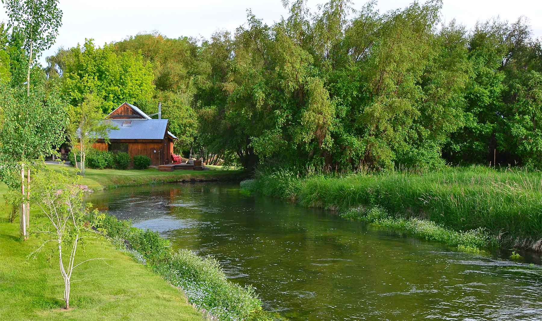 Susie Q Ranch property picture 15 of 83