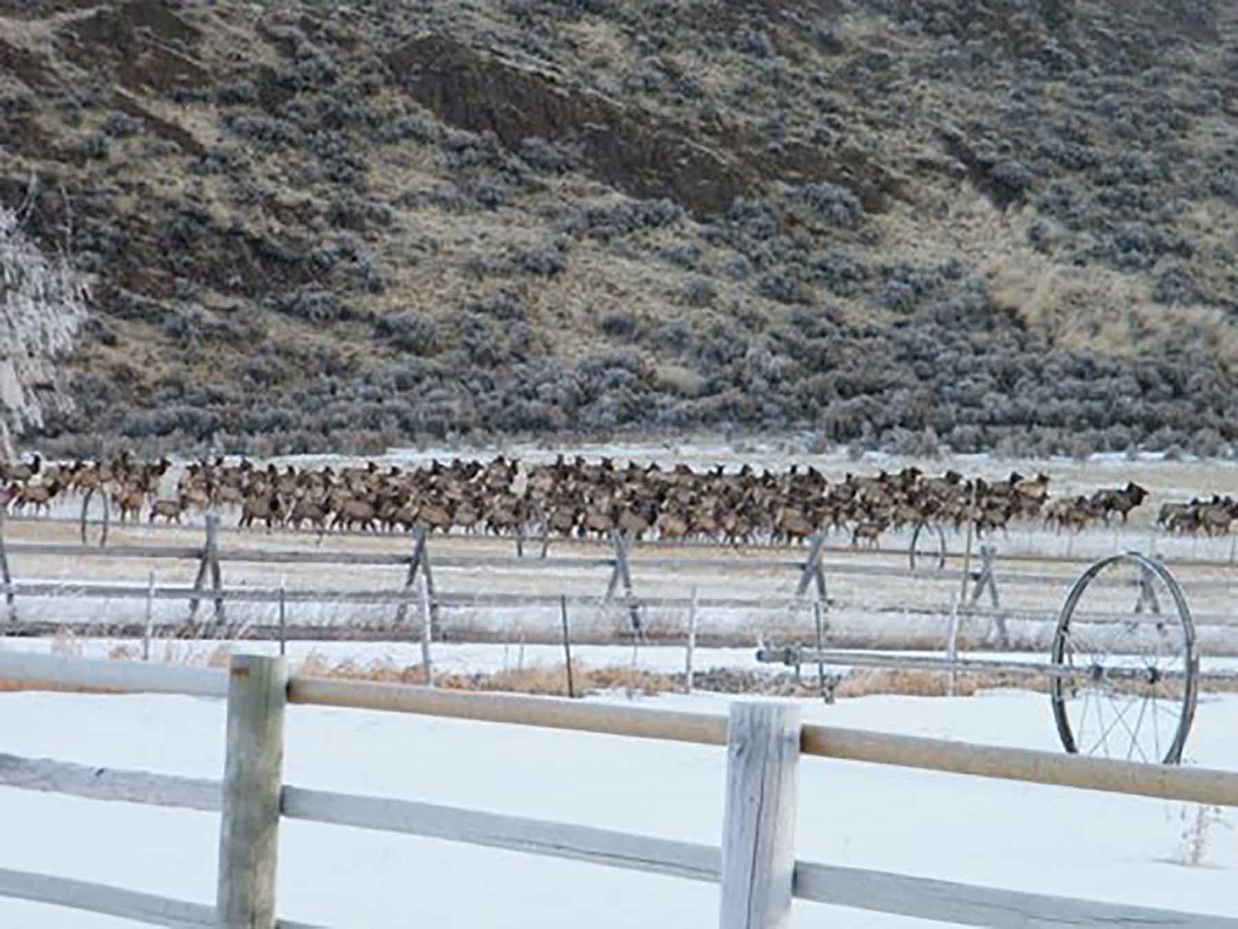 Susie Q Ranch property picture 29 of 83