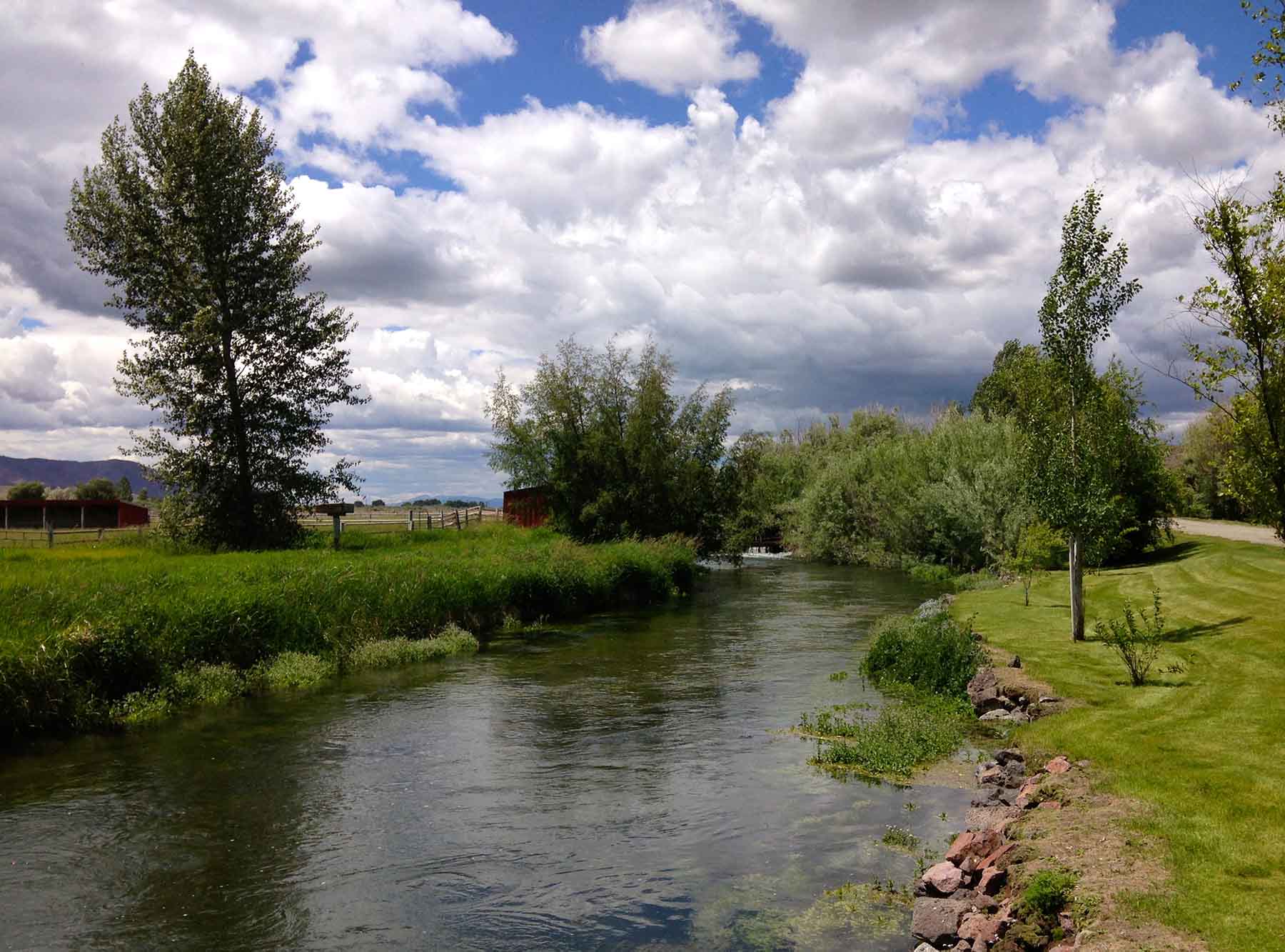 Susie Q Ranch property picture 31 of 83