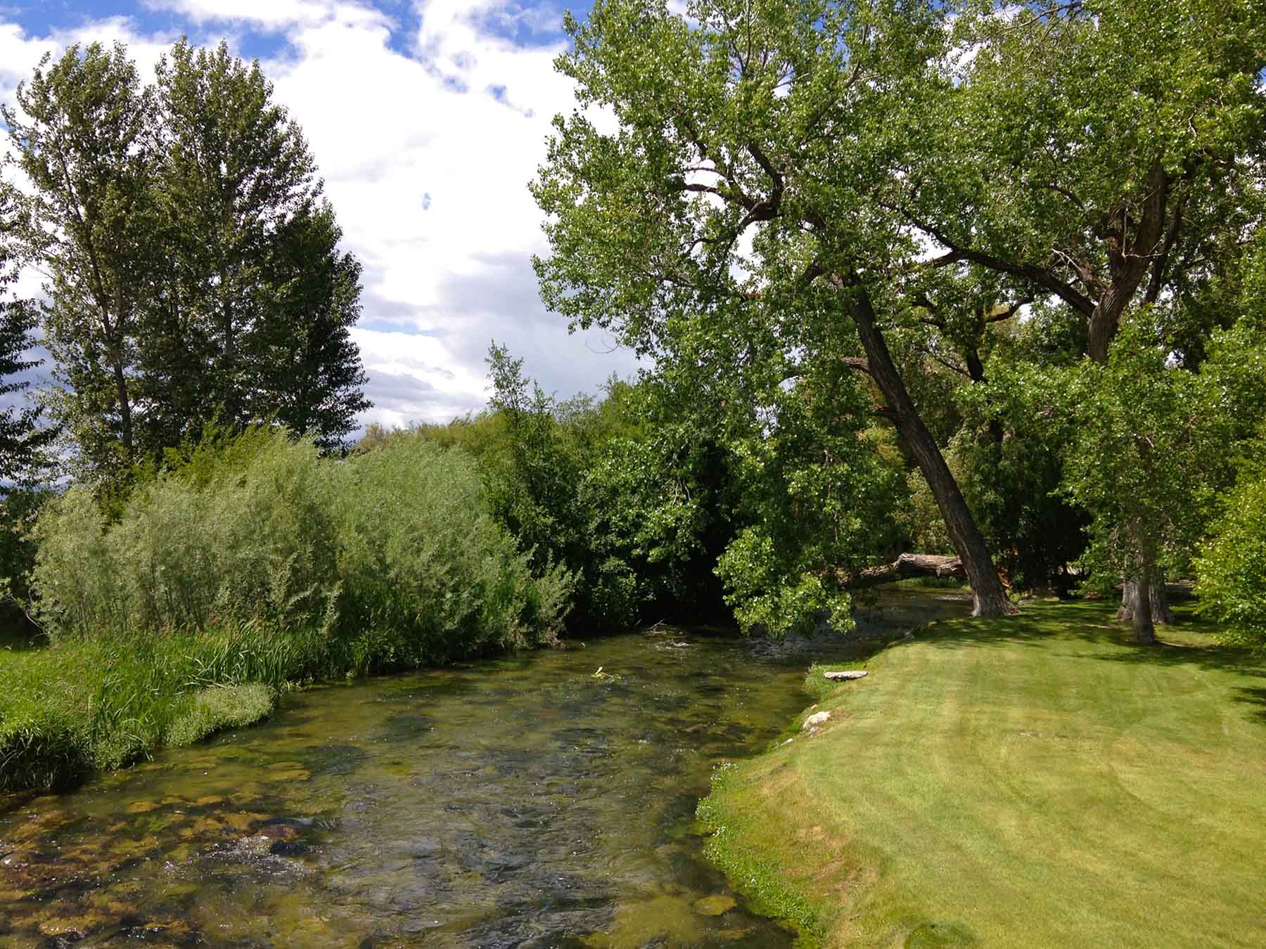 Susie Q Ranch property picture 34 of 83